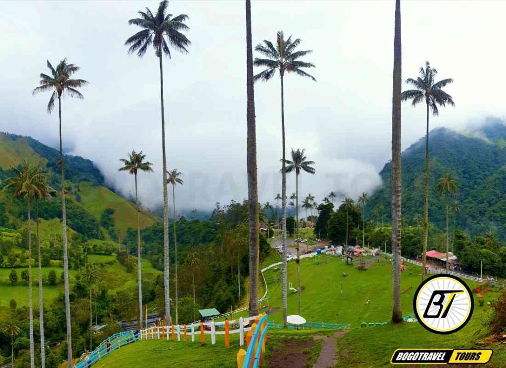 Tour Eje cafetero Colombia, Tour cafe Quindio