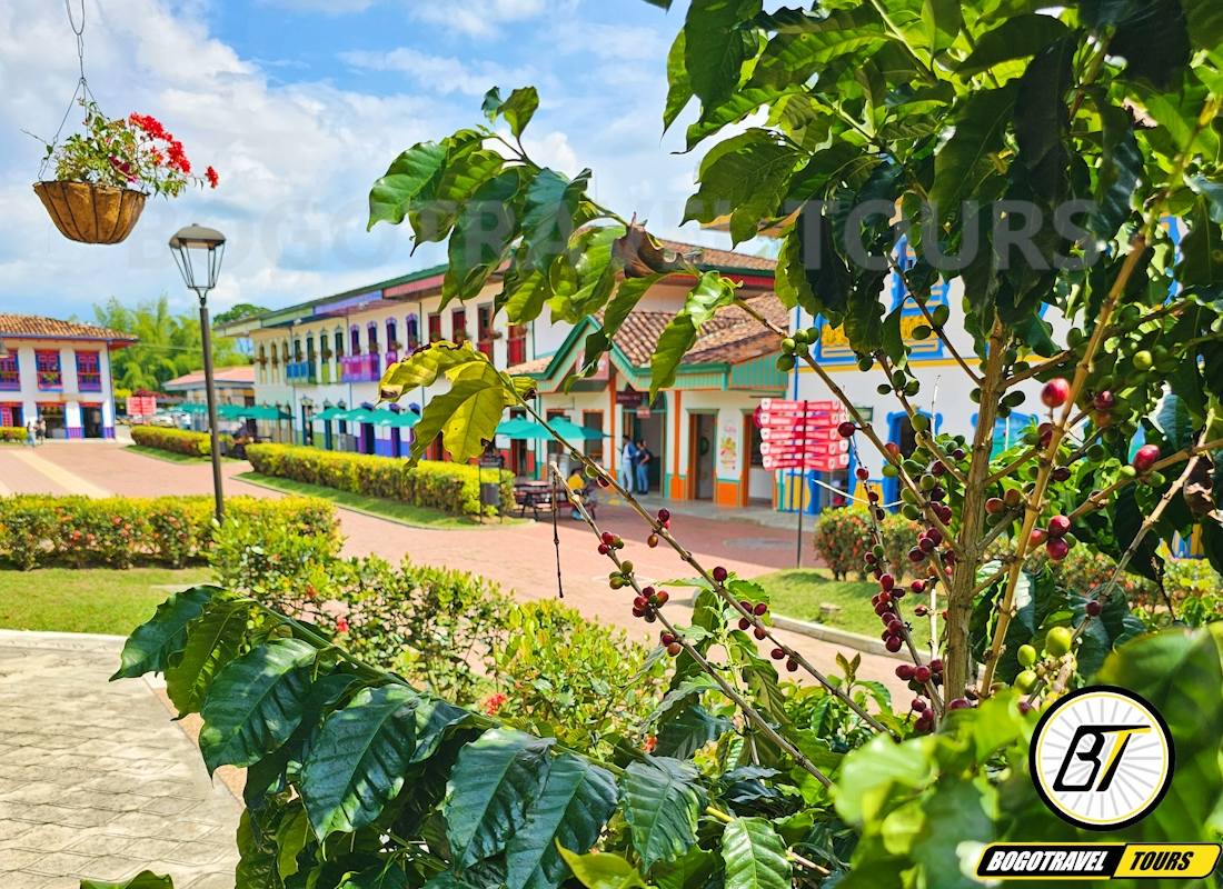 Tours eje cafetero Colombia